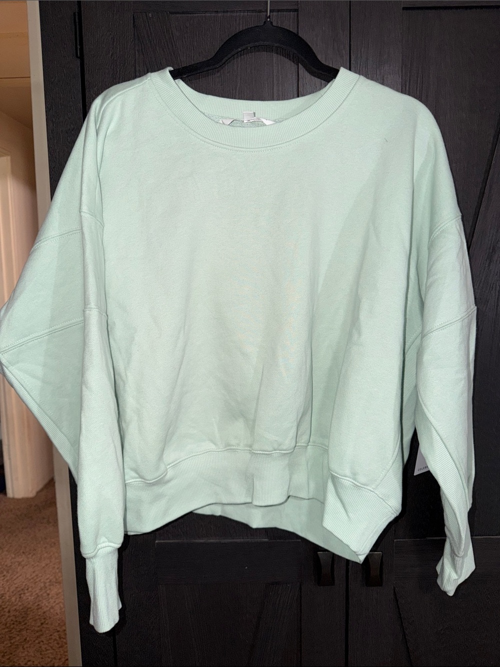 Celebrity Pink Light Mint Crewneck Sweatshirt - Women